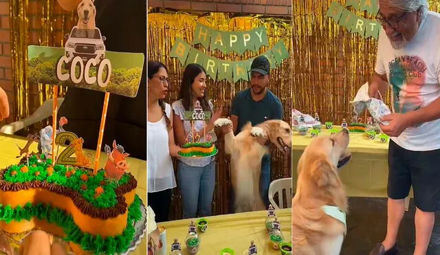 La grandiosa fiesta de cumpleaños de este perrito logró volverse tendencia en redes sociales. Foto: captura de TikTok