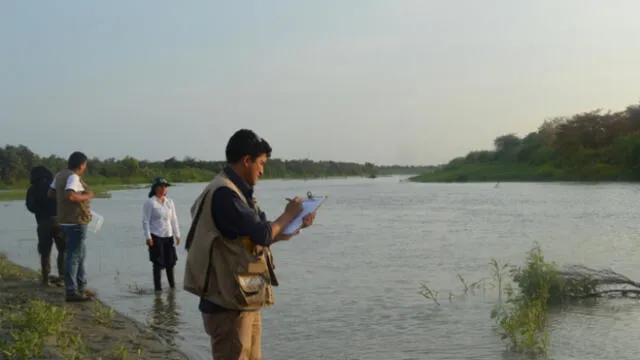 Esta no es la primera vez que se estudian las aguas del río Tumbes debido a la contaminación. Foto: Difusión