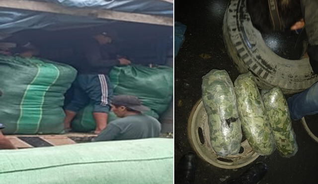 Hojas de coca fueron internadas en almacenes de Enaco. Foto: PNP