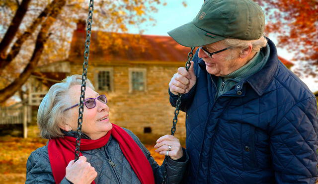 Centenares de personas mayores fueron entrevistadas en Bélgica. Foto: referencial/ Pixabay