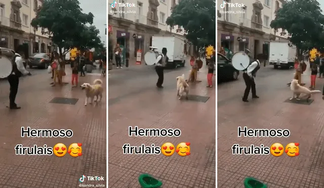 El perrito sorprendió con su espectáculo callejero a los transeúntes. Foto: captura de TikTok