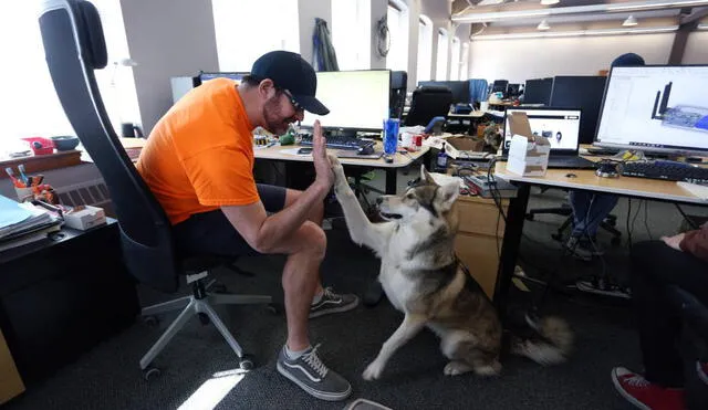 En compañía de su fiel amigo. Un empleado junto con su perro durante el horario laboral. Foto: AFP