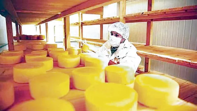 Producción. Se espera producir mejores quesos. Foto: La República