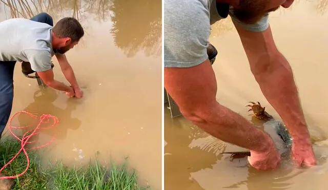 Con ayuda de su hija, él armó un improvisado plan para rescatar con vida a un enorme reptil de su estanque. Foto: captura de YouTube