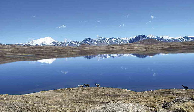 Glaciares. Reducen la vulnerabilidad de las especies y ecosistemas frente al cambio climático. Foto: La República