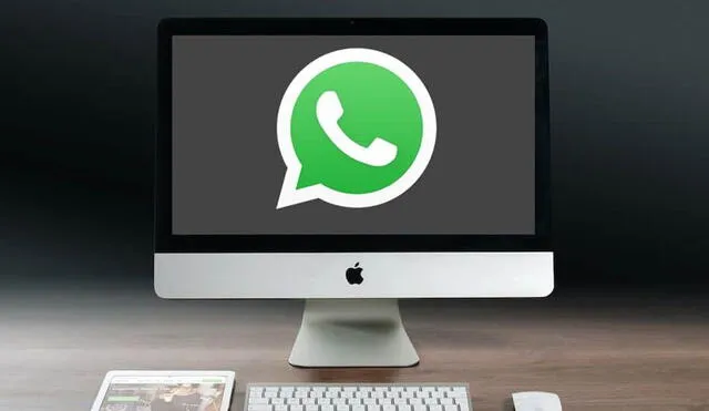 Esta versión de WhatsApp todavía está en fase beta. Foto: iPadizate