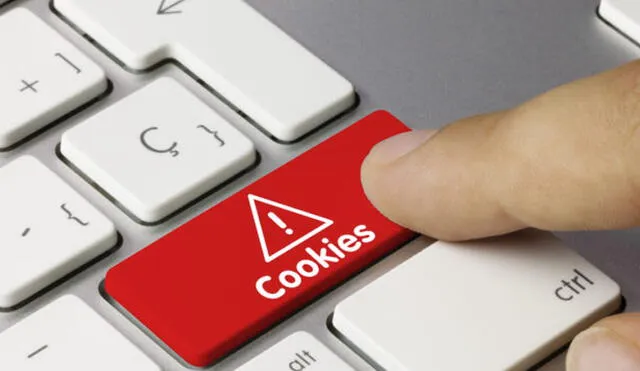 Las cookies son una pequeña porción de información. Foto: RedesZone