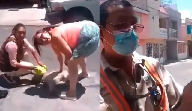 El vídeo de la agresión a Pucca se hizo viral en las redes sociales. Foto: Datanoticias