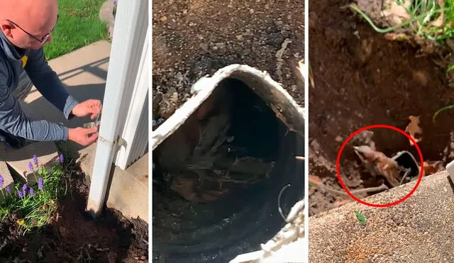 Un hombre revisó el sistema de desagüe instalado en su casa para solucionar un problema y se llevó una sorpresa. Foto: captura de YouTube