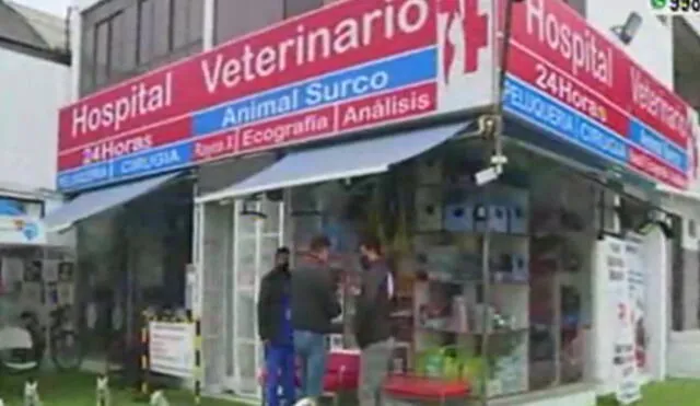 Roban por novena veces en menos de un año a veterinaria de Surco. Foto: captura América Televisión.