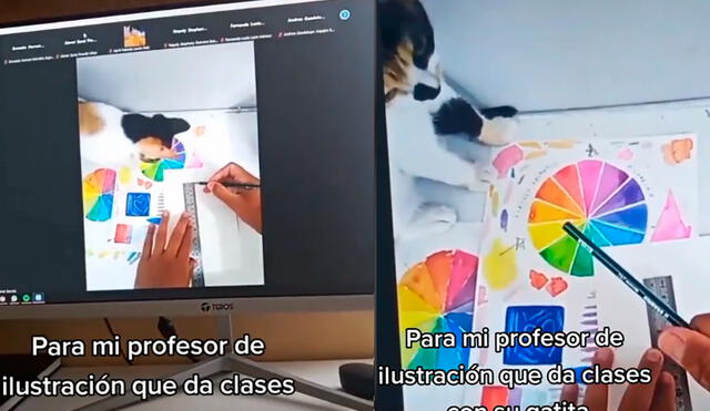 El felino intentaba acercarse al trabajo que realizaba su amo en sus clases virtuales. Foto: captura de TikTok