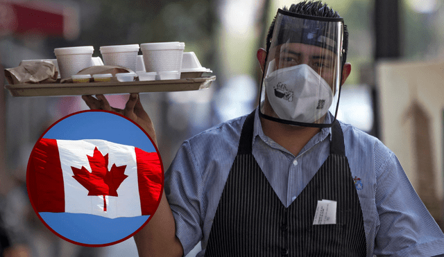 Conoce los requisitos para trabajar como mesero en Canadá y cuál es su sueldo promedio. Foto: composición AFP