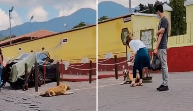 Los turistas se sorprendieron y comenzaron a reír, pues habían caído en el timo del perro. Foto: captura de TikTok