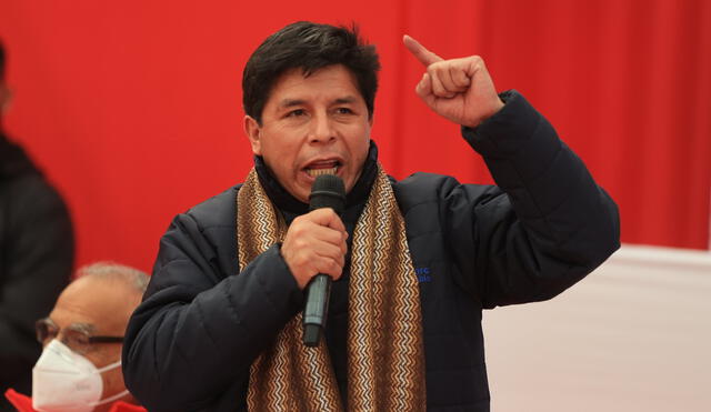 "Las decisiones corresponden al pueblo peruano de manera organizada", dijo Pedro Castillo. Foto: Presidencia