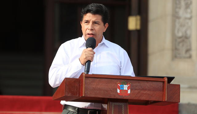 Últimas noticias del gobierno del presidente Pedro Castillo hoy, domingo 15 de mayo. Foto: Presidencia.