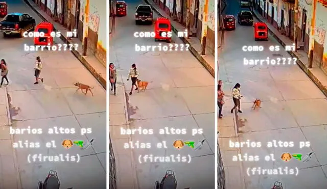 Mientras caminaba por la calle, el can volteó y se apresuró cuando notó que una joven llevaba un bocadillo en su mano. Foto: captura de TikTok