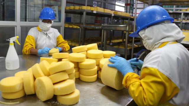 Cutervo tendrá su planta procesadora de queso tipo suizo. Foto: GORE Cajamarca.