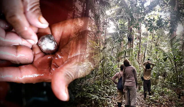 El uso de mercurio para la minería está prohibido, pero sigue siendo una fuente de contaminación en la Amazonía. Foto: composición Gerson Cardoso/AFP/Cincia