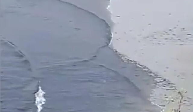 Video donde se observa presencia de "petróleo" en Playa Hermosa se hizo viral rápidamente. Foto captura de Twitter