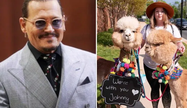 Las alpacas han sido adoptadas como símbolo de apoyo hacia Johnny Depp en medio de su juicio con Amber Heard. Foto: composición/ difusión