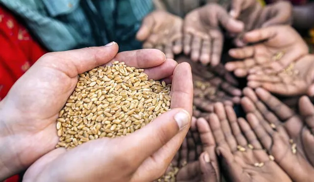 Preocupación ante la crisis alimentaria, ya que también podría contribuir a la inflación que viven los países desarrollados. Foto: Getty Images