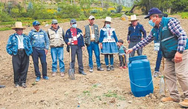 También se puede usar alfalfa, cáscara de huevo, leche, chicha de jora, plátano, chocho y levadura. Foto: Senasa