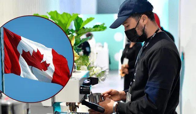 Los estudiantes extranjeros cuentan con varias opciones de trabajo en Canadá. Foto: composición/ AFP