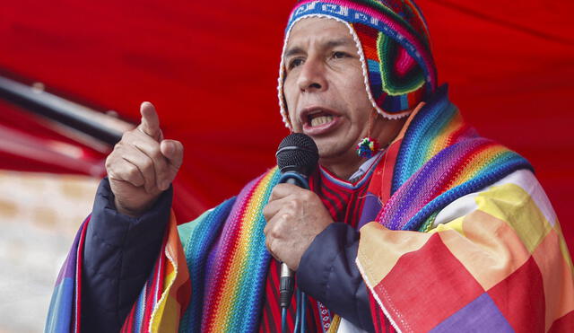 Pedro Castillo, actual mandatario de Perú. Foto: AFP