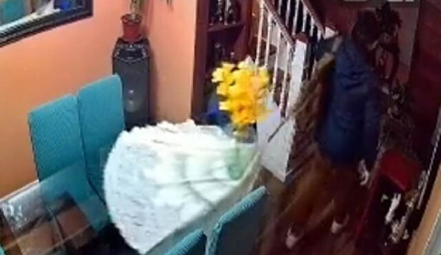 El florero que la mamá del joven había cuidado por años terminó en pedazos. Foto: captura de TikTok