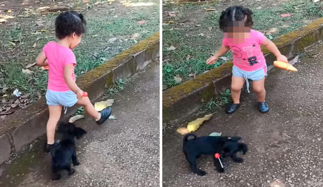 La menor trató de alejarse de su querida mascota; sin embargo, no lo consiguió y se quedó sin su dulce. Foto: captura de Facebook