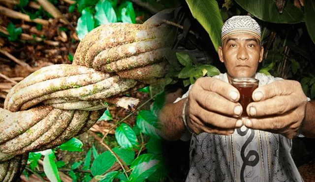El ritual del ayahuasca conecta el mundo mágico con el espiritual. Foto: composición LR/ Inka Perú