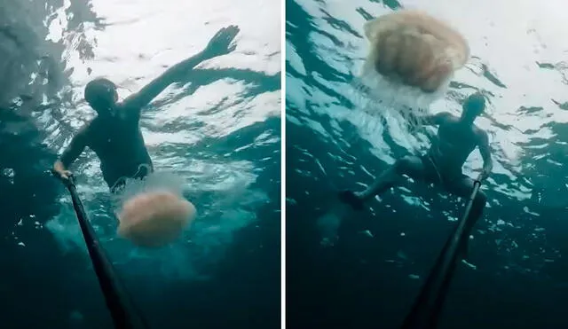 Tras regresar a su bote, el joven mostró cómo quedó su cuerpo tras chocar con los tentáculos de las medusas. Foto: captura de YouTube