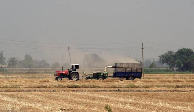 Medida permitirá aprontar crisis alimentaria por irrupción de suministro por la guerra en Ucrania. Foto: AFP.