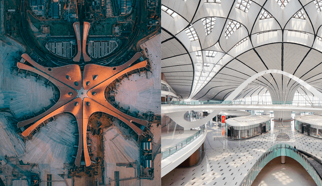 El Aeropuerto Internacional de Pekín-Daxing tiene forma de estrella de mar. Foto: composición Xataca/Hufton+Crow