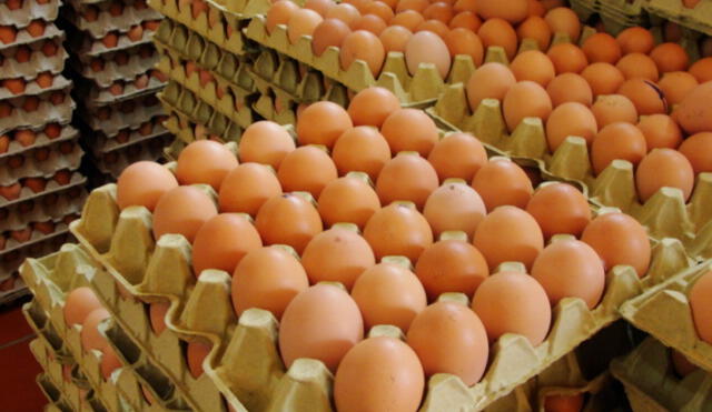 Gremio de avicultores señala que el precio del huevo podría subir debido al incremento del alimento del ave. Foto: difusión