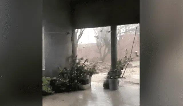 El huracán azotó México el día de ayer, lunes 30 de mayo, tras llegar por primera vez a las costas de Oaxaca. Foto: Captura de pantalla / Twitter: @alejandrotv40