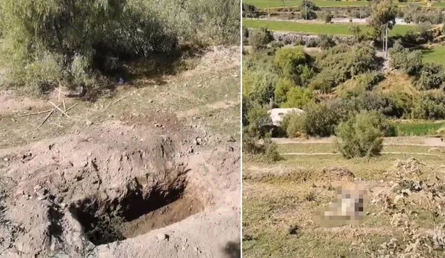 Las alpacas quedaron regadas por los andenes del valle de Chilina. Foto: captura de Exitosa