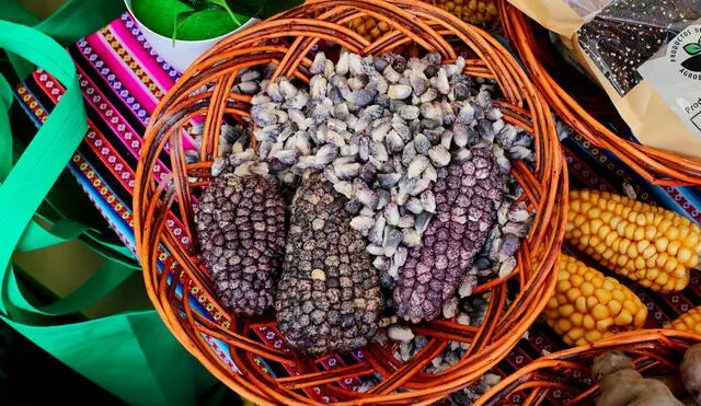 Desde ahora se pueden adquirir alimentos de cuatro regiones altoandinas del Perú. Foto: Ministerio del Ambiente