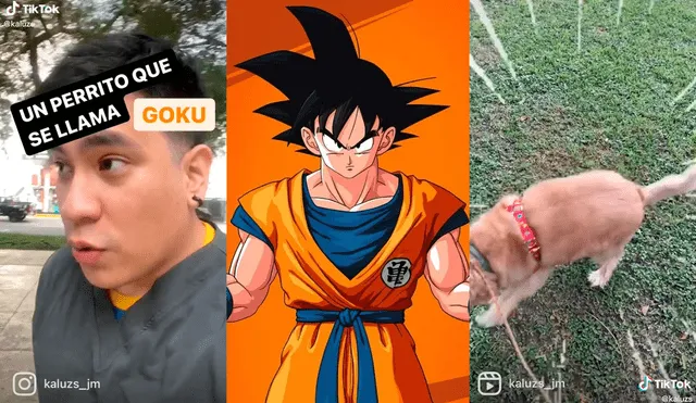 El muchacho se divierte al pasar tiempo con Goku. Video: @kaluzs/TikTok