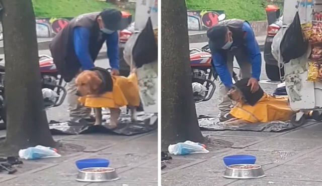 Una transeúnte fue testigo del tierno momento, debido a que detuvo su caminata frente a un quiosco por la mañana. Foto: captura de Facebook