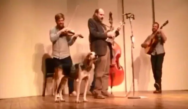 Debido a que nadie podía cuidar a su mascota, el músico se vio en la obligación de llevarlo a su gira por un fin de semana. Foto: captura de YouTube