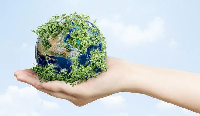 Día Mundial del Medio Ambiente: conoce las razones por las que se celebra este día. Foto: rawpixel