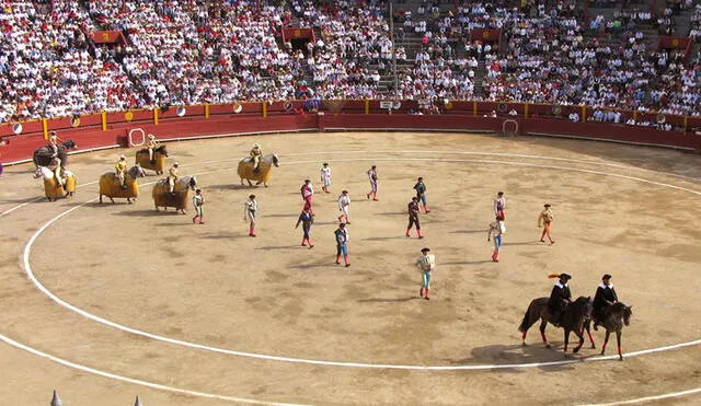 En países como Chile, Uruguay, Argentina y otros están prohibidas las corridas de toros por ser consideradas maltrato animal. Foto EFE