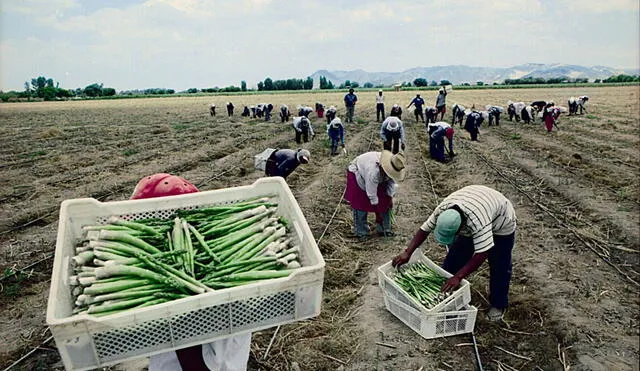 El gremio destacó que el país está sufriendo una grave crisis alimentaria, profundizada por los altos costos de los fertilizantes, entre otros. Foto: Andina