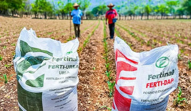 La contraloría también advirtió que Agro Rural estaba expuesta al riesgo de no cumplir con la entrega oportuna de urea a los productores agrarios. Foto: Andina.