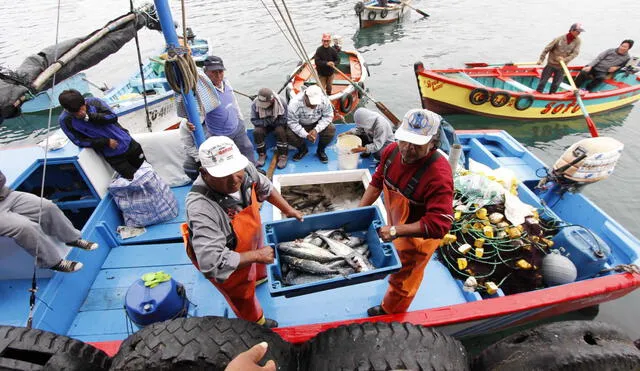 Cuatro de cada cinco pescadores artesanales considera que la pesca ilegal es una de las principales amenazas para su rubro. Foto: Andina