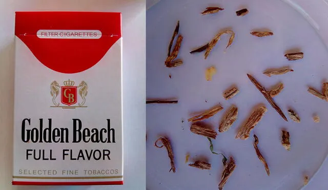 El laboratorio reveló que los cigarrillos contenían desde fibras vegetales hasta caparazones de insectos. Foto: composición/ La República