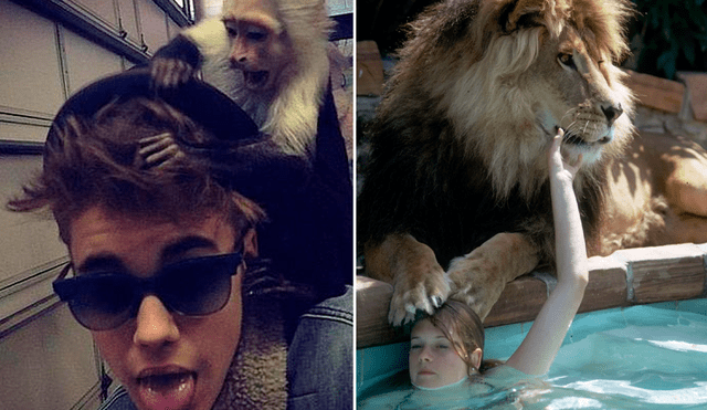 El cantante Justin Bieber y la actriz Melanie Griffith tuvieron mascotas poco comunes.  Foto: composición revista LIFE/ Justin Bieber/Instagram