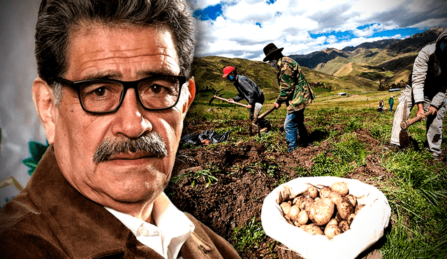 El Ministerio de Desarrollo Agrario y Riego del Perú es la institución encargada del sector agrario