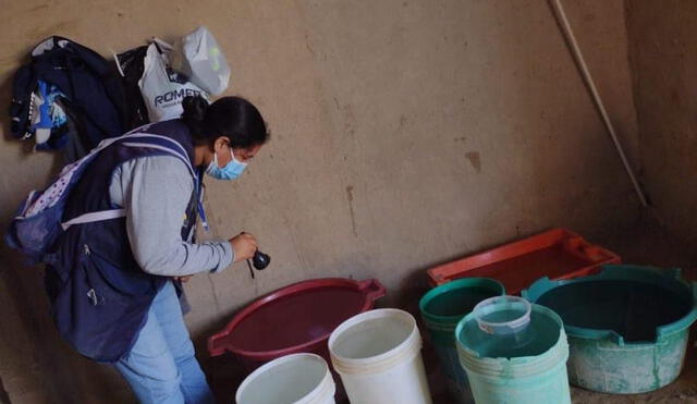 Prevención y control del dengue en la región Piura. Foto: Diresa